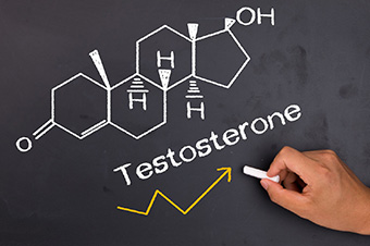 Самый важный гормон бодибилдера — Тестостерон